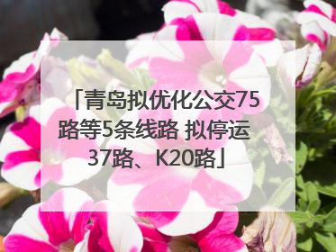 青岛拟优化公交75路等5条线路 拟停运37路、K20路